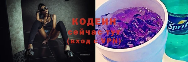 соль ск Новодвинск