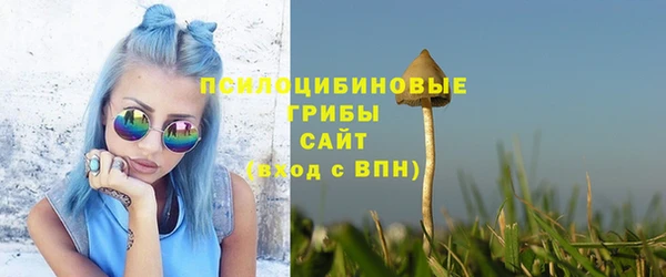 ALPHA PVP Новозыбков