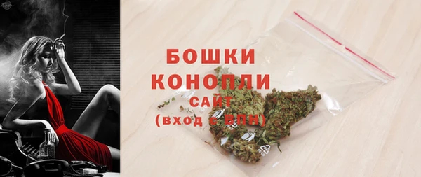 соль ск Новодвинск