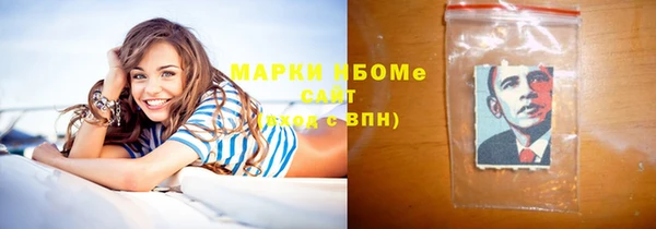 соль ск Новодвинск