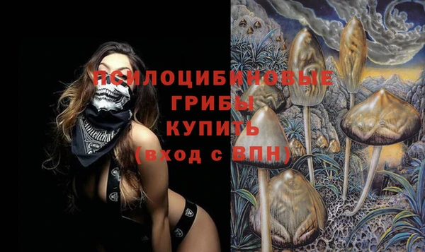 ALPHA PVP Новозыбков