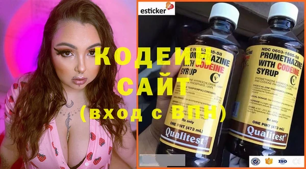 соль ск Новодвинск