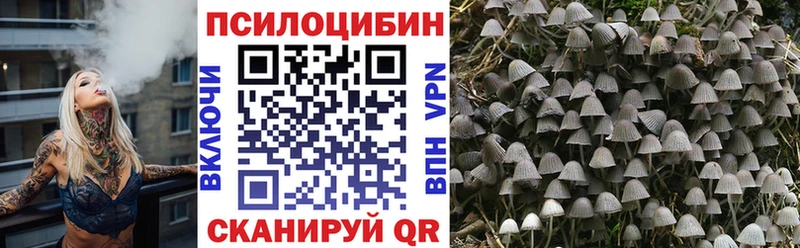 Галлюциногенные грибы Cubensis  Нижние Серги 